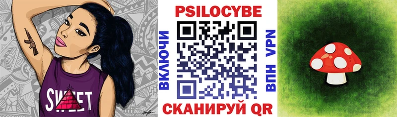 Псилоцибиновые грибы Psilocybe  продажа наркотиков  Колпашево 